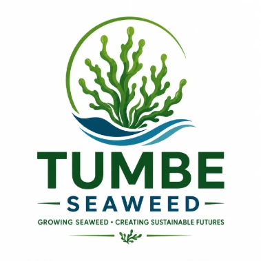 tumbiseaweed